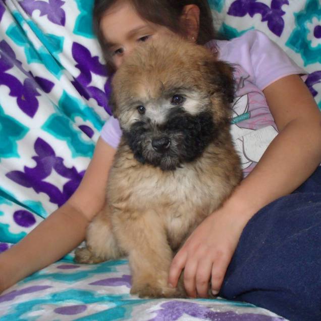 GEDSC DIGITAL CAMERA