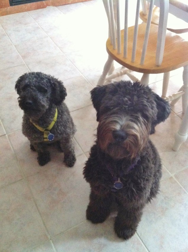 Sam & Cali 09_01_13.jpg